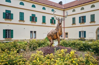 The Kvasiny Château_Radek Habada