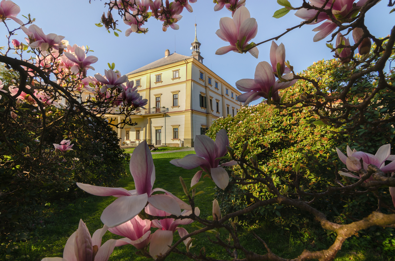 Výstava fotografiíí Iva Malého